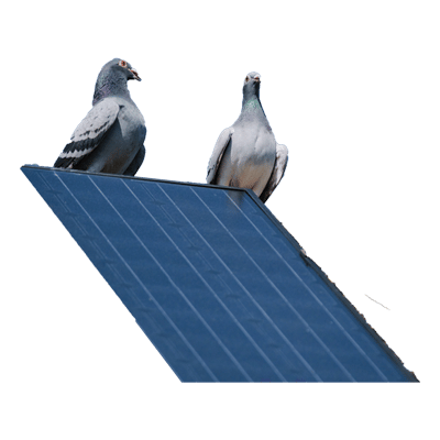 Pulizia Sporco Uccelli Fotovoltaico