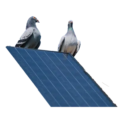 Pulizia Sporco Uccelli Fotovoltaico