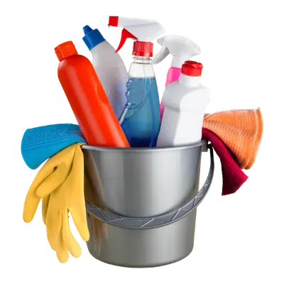 disinfestazione guano piccioni